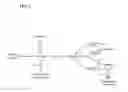 Fig. 02 - MICROORGANISM HAVING ENHANCED PRODUCTIVITY OF LACTIC ACID AND A PROCESS FOR PRODUCING LACTIC ACID USING THE SAME
