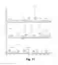 Fig. 12 - Generation of acyl alcohols