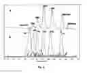 Fig. 06 - Method for producing galactooligosaccharides from lactose