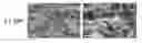 Fig. 01 - Enhanced throughput mineral coatings for optimization of stem cell behavior