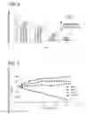 Fig. 06 - Enhanced throughput mineral coatings for optimization of stem cell behavior