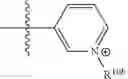 Fig. 98 - Coumarin compounds and their uses as fluorescent labels