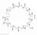 Fig. 13 - Image differentiated multiplex assays for multiplex detection of DNA mutations