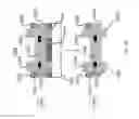 Fig. 22 - Image differentiated multiplex assays for multiplex detection of DNA mutations