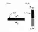 Fig. 09 - Magnetic base for collection and release of paramagnetic particles