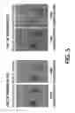 Fig. 06 - Nucleic acid detection kit and nucleic acid detection method using nanoparticles