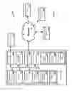 Fig. 13 - Systems and methods for sequencing T cell receptors and uses thereof