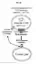 Fig. 16 - Systems and methods for sequencing T cell receptors and uses thereof