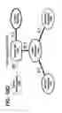 Fig. 22 - Systems and methods for sequencing T cell receptors and uses thereof