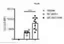 Fig. 68 - Systems and methods for sequencing T cell receptors and uses thereof