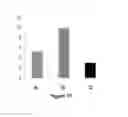 Fig. 16 - Pathology prognosis method