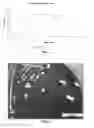 Fig. 02 - Probiotic bifidobacterium strain