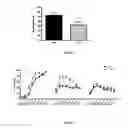 Fig. 08 - Probiotic bifidobacterium strain