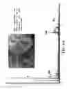 Fig. 08 - Process for the recovery of rare earth metals from permanent magnets