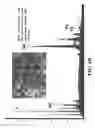 Fig. 09 - Process for the recovery of rare earth metals from permanent magnets
