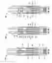 Fig. 04 - Modified surface properties of percussion tools used in downhole drilling