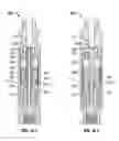 Fig. 11 - Modified surface properties of percussion tools used in downhole drilling