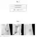 Fig. 02 - COLOR-TREATED SUBSTRATE AND COLOR TREATMENT METHOD THEREFOR