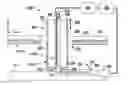 Fig. 01 - Method for achieving sustained anisotropic crystal growth on the surface of a silicon melt