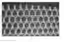 Fig. 01 - Prosthetic porous knit
