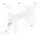 Fig. 01 - Ironing apparatus