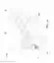 Fig. 02 - Ironing apparatus