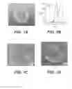Fig. 02 - STANDARDIZED EX VIVO PLATFORMS FOR THE ANTIGEN-SPECIFIC EXPANSION OF CD4+ T CELL POPULATIONS
