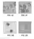 Fig. 09 - STANDARDIZED EX VIVO PLATFORMS FOR THE ANTIGEN-SPECIFIC EXPANSION OF CD4+ T CELL POPULATIONS