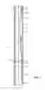 Fig. 06 - Downhole Tool Actuation Methods