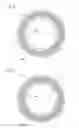 Fig. 03 - DOUBLE-ROW SELF-ALIGNING ROLLER BEARING