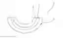 Fig. 01 - Sliding bearing element