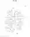 Fig. 14 - PARTIALLY TRANSITIONED FLAME START-UP OF A PERFORATED FLAME HOLDER
