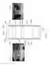 Fig. 07 - REFRIGERATOR AND CAMERA SYSTEM THEREOF