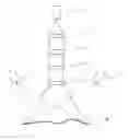 Fig. 01 - Device and method for detecting an image of a preferably structured surface of an object