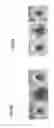 Fig. 07 - Method and device for beam analysis
