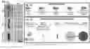Fig. 01 - Methods and devices for soft and osseous tissue clearing and fluorescent imaging