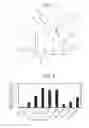 Fig. 02 - Method for enhancing luminescence, substance detection method, substance detection apparatus, and luminescence enhancer