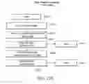 Fig. 35 - Multifocal imaging systems and method