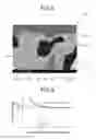 Fig. 08 - Pump electrode and reference electrode for gas sensor