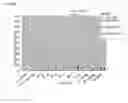 Fig. 12 - Human T cell line assay for evaluating the immunologic identity of glatiramer acetate preparations