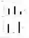 Fig. 19 - Human T cell line assay for evaluating the immunologic identity of glatiramer acetate preparations