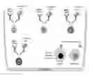 Fig. 01 - Methods and reagents for determining immunoglobulin gamma (IgG) antibody isotype concentration from biological samples