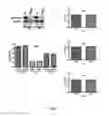 Fig. 08 - ANGPTL4 AS A PROGNOSTIC MARKER FOR BLADDER CANCER