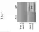 Fig. 02 - PROTEIN-PROTEIN INTERACTION DETECTION SYSTEMS AND METHODS OF USE THEREOF