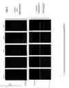 Fig. 09 - PROTEIN-PROTEIN INTERACTION DETECTION SYSTEMS AND METHODS OF USE THEREOF