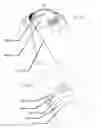 Fig. 03 - Methods and apparatus to enhance oxygen concentrations for advanced ophthalmic devices