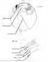 Fig. 03 - Methods and apparatus to enhance oxygen concentrations for advanced ophthalmic devices