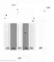 Fig. 01 - Fabrication of low defectivity electrochromic devices