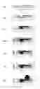 Fig. 01 - Cured film formed by curing photosensitive resin composition and method for manufacturing same