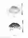 Fig. 07 - Exposure apparatus and method
